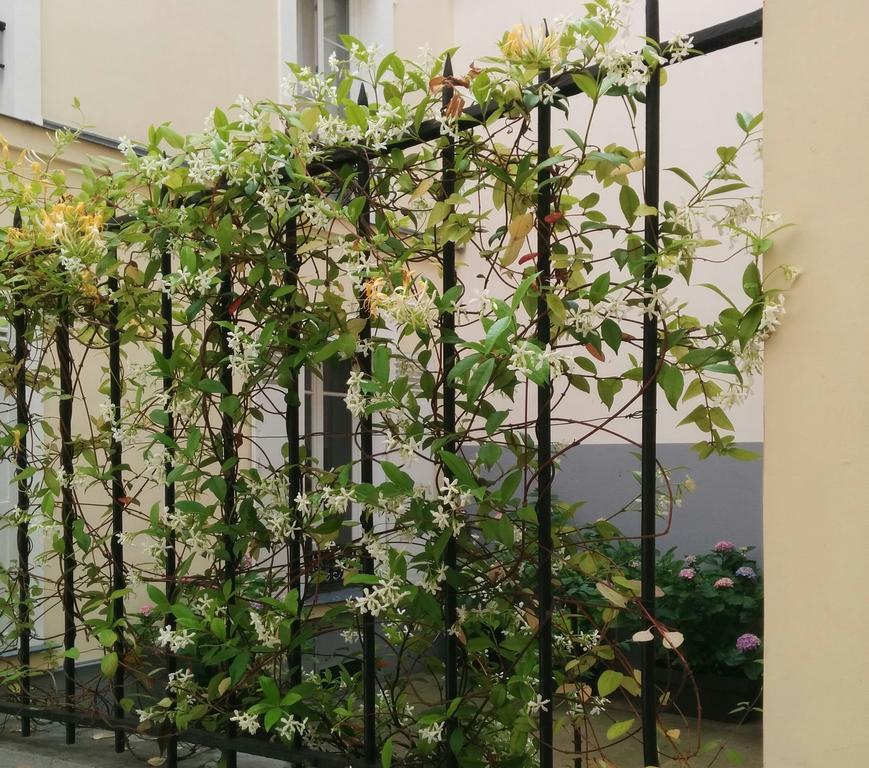 La Cour Du 5Eme - Chambre D'Hotes Paris Eksteriør bilde